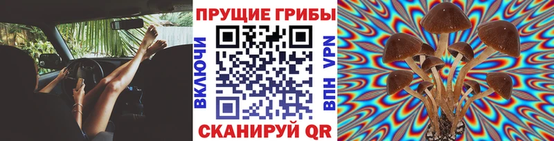 наркота  Саранск  Галлюциногенные грибы мухоморы 