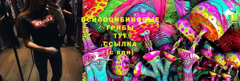 дарнет шоп  Саранск  Псилоцибиновые грибы Magic Shrooms 