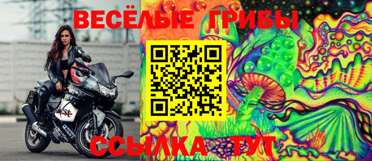 Псилоцибиновые грибы Magic Shrooms Саранск
