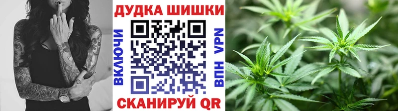 купить наркотики цена  omg ТОР  Шишки марихуана Amnesia  Саранск 